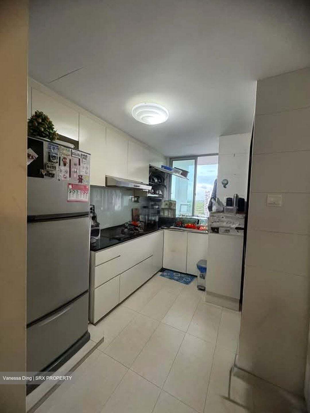 Park Green (D19), Condominium #546366351